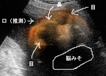 20110909cc.jpg