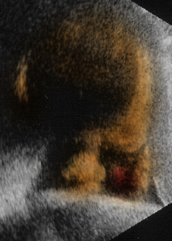 20110916cc.jpg